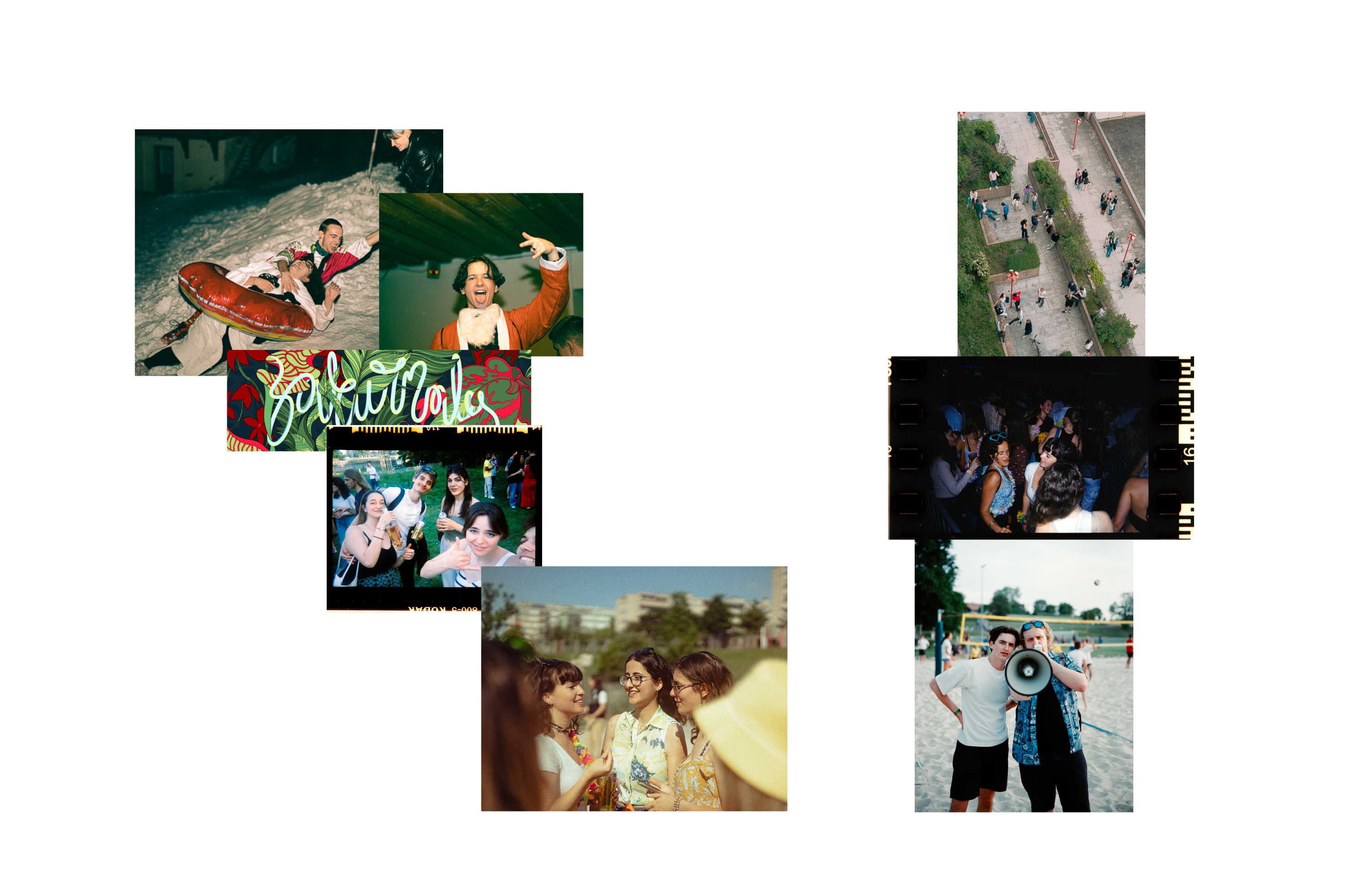 some pictures